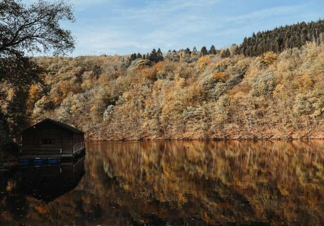 Uitgestrekte-bossen-Ardennen