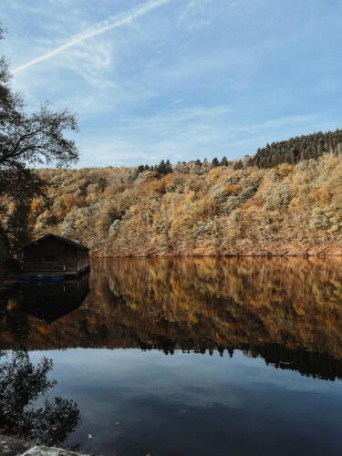 Uitgestrekte-bossen-Ardennen