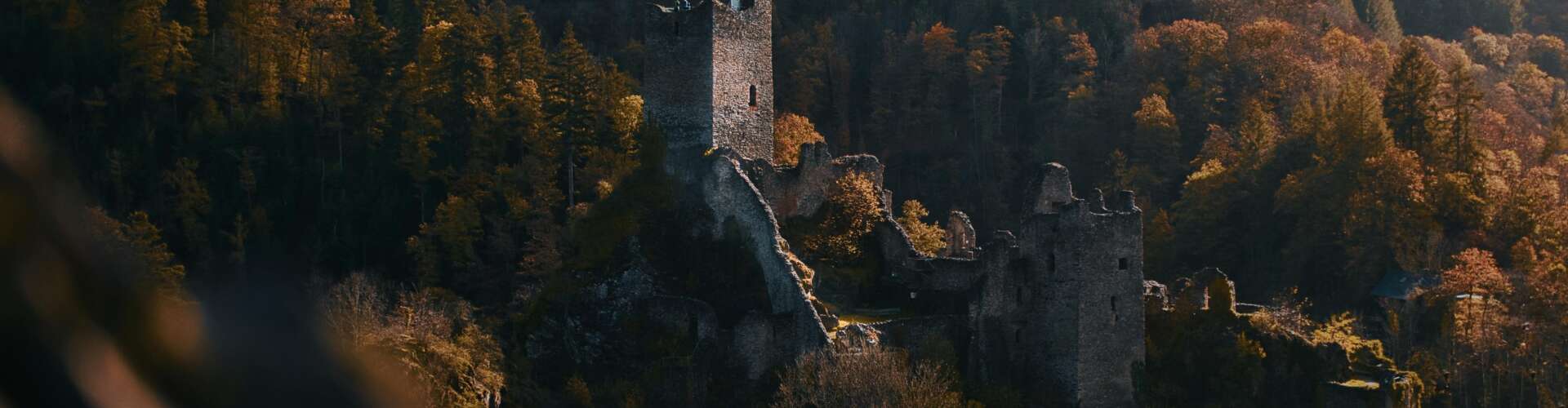 Omgeving Eifel