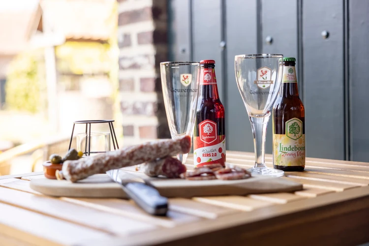 Borrel vakantiehuis Limburg