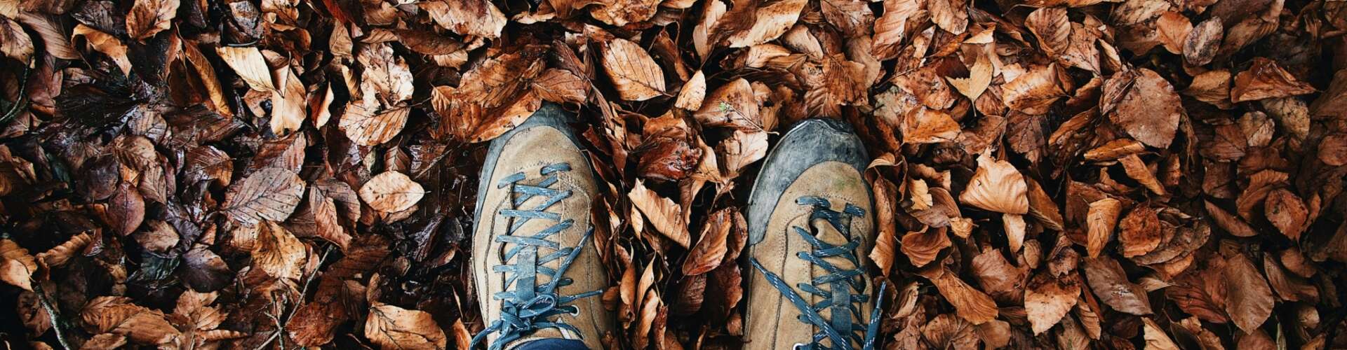 Wandelschoenen in de herfst tussen de bladeren