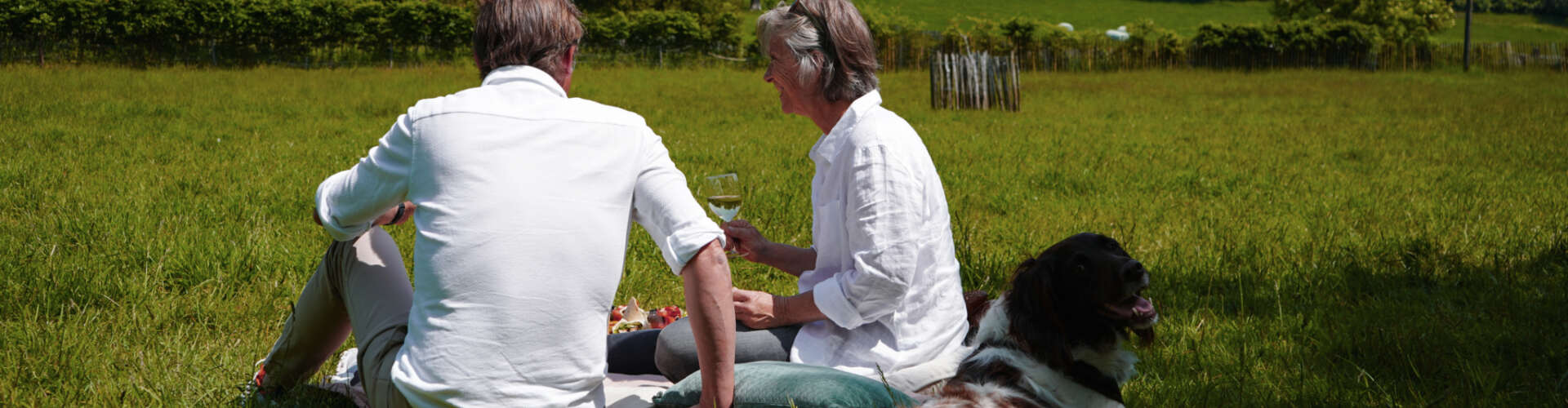 Picknick in natuur met hond
