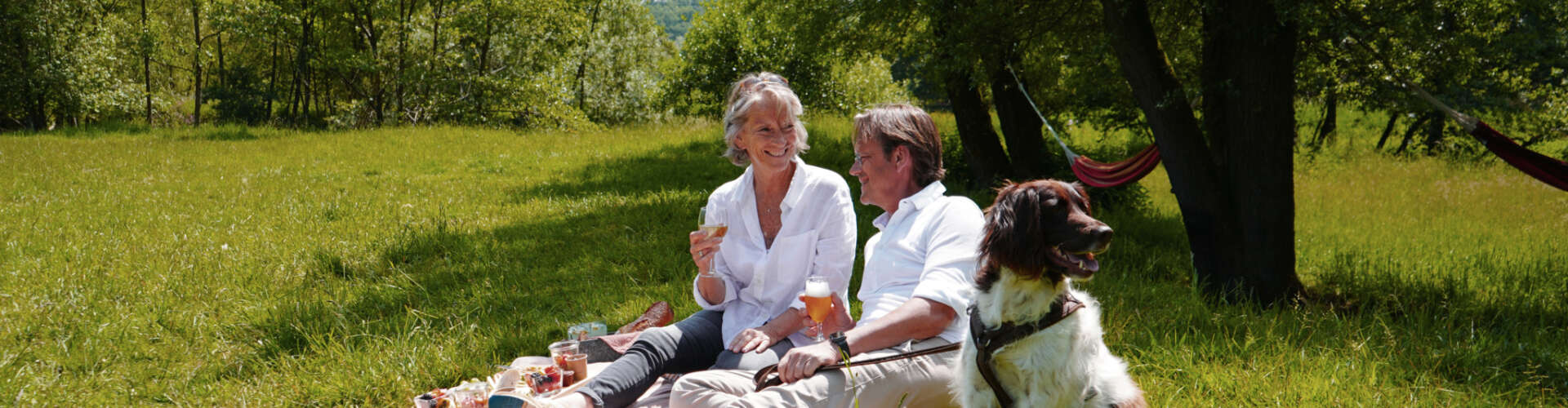 Vakantiehuis zuid limburg met hond