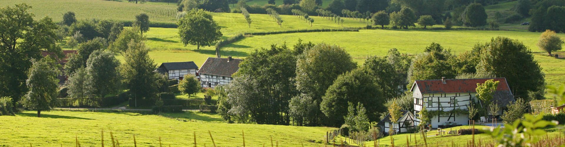 Vakwerkhuizen heuvelland