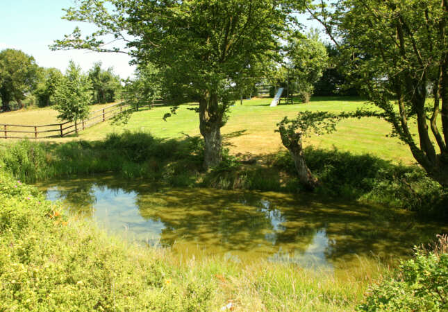 Boswachtershuis omringd door weelderige bossen, serene dalen en grazende paarden.