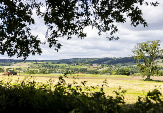 Heuvelland Zuid-Limburg