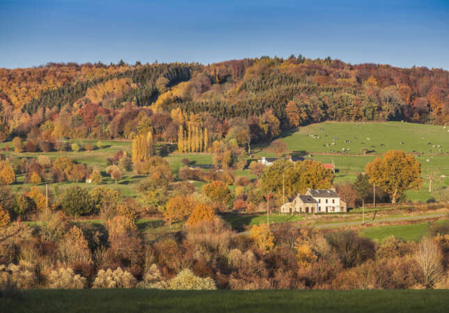 Herfst in het Heuvelland: rustiger, warmer, en precies goed zo.