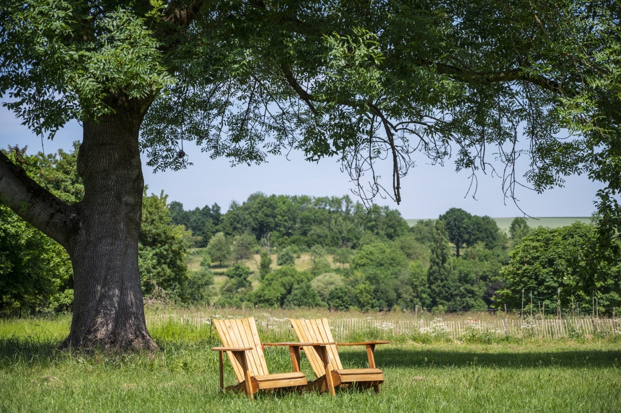 Vakantiehuis met grote tuin in natuurgebied