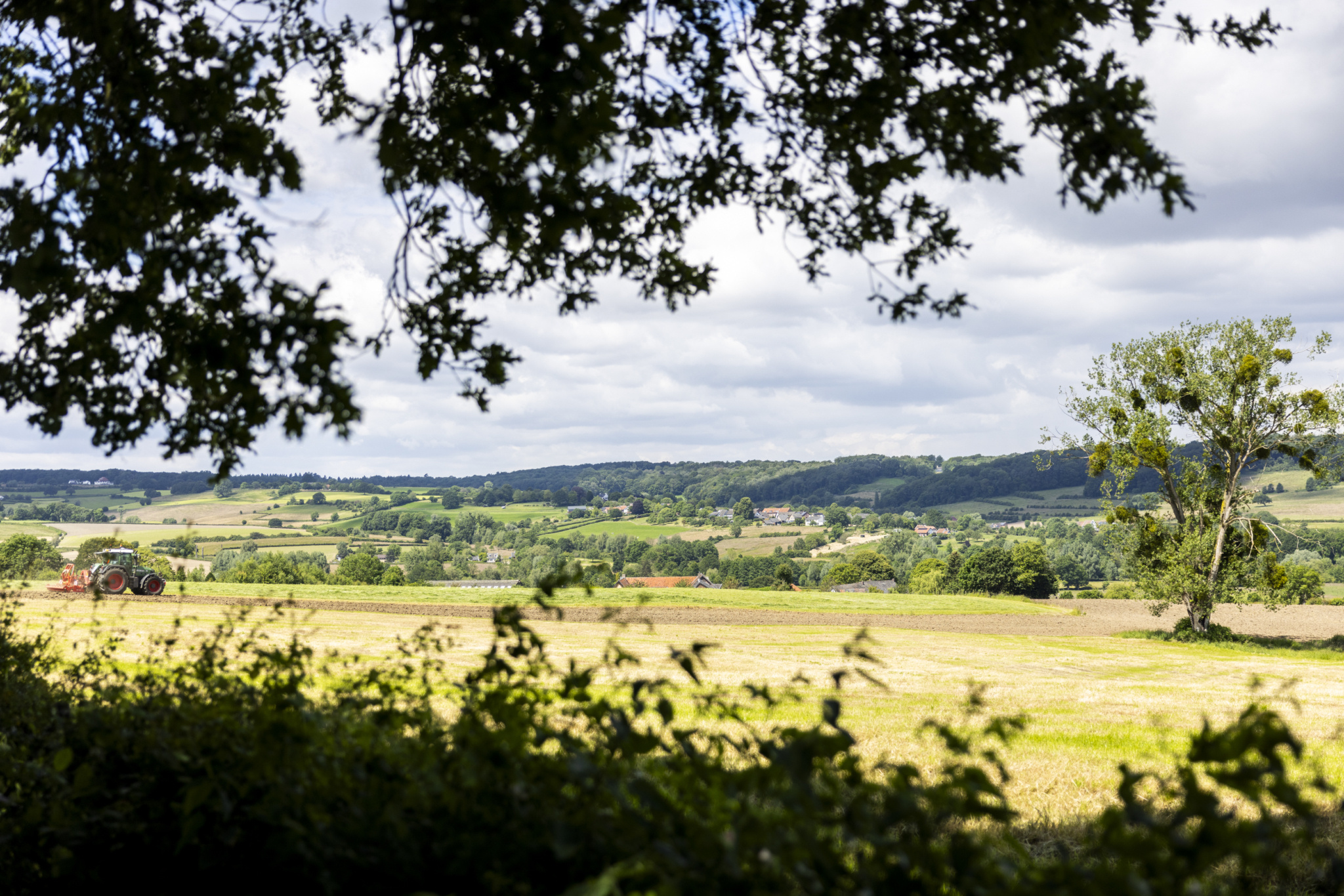 Heuvelland Zuid-Limburg